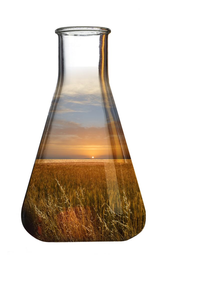 beaker-with-field