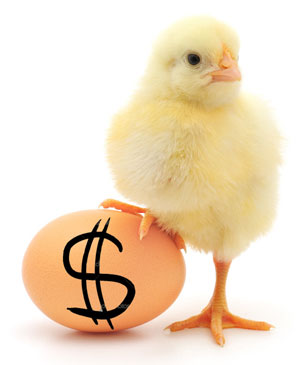 chick-egg-$